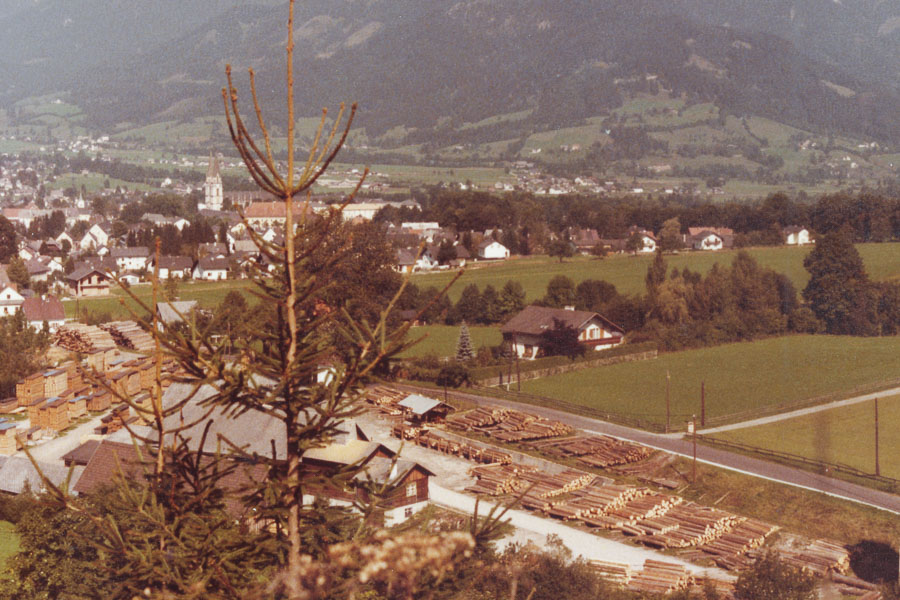 Das Betriebsgelände im Sommer 1980